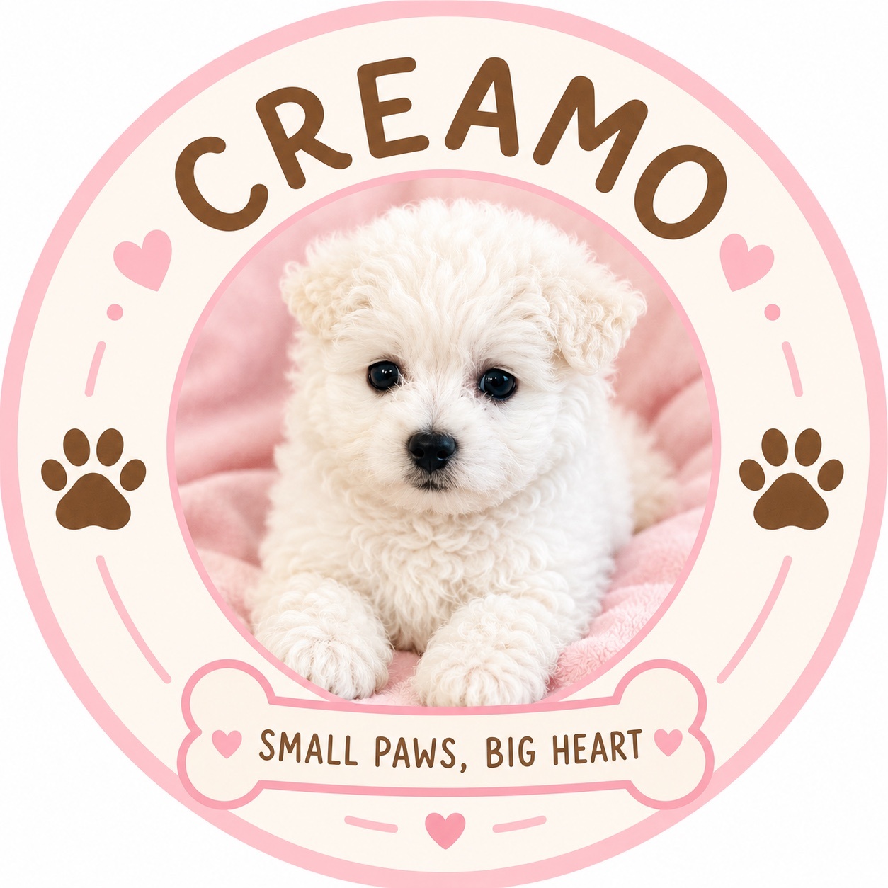 Creamo logo